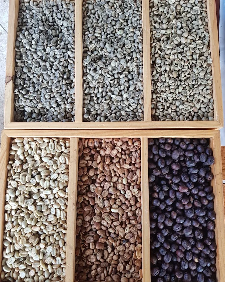 Roasted Arabica Coffee Bean Convenient Use With Coffee Machine Special Flavor From Vietnam