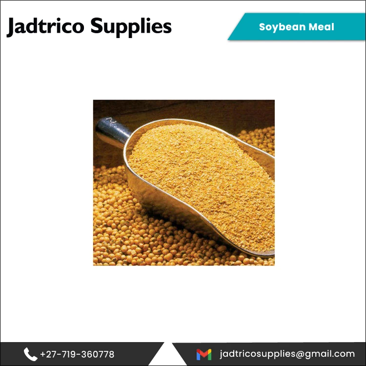Профессиональный дилер 12% натуральной соевой муки для универсального покупателя