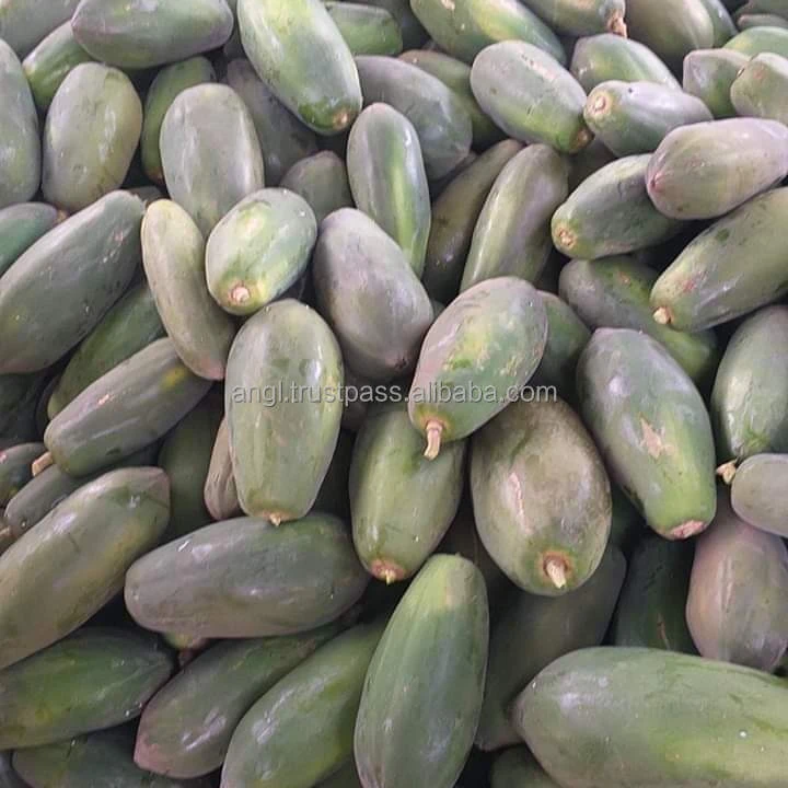 
Fresh papaya/frozen papaya from Vietnam with top quality _Vikafoods (+84983028718) 