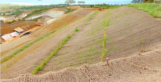 
COIR NET / PROTECTING PLANTS / COCO FIBER / COVER BARE HILLS - Ms. Elish +84 904 183 651 