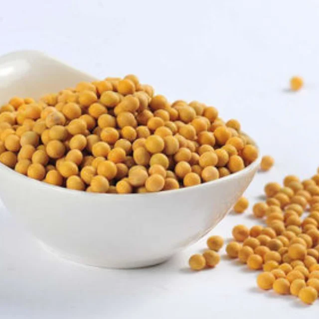 
HIGH QUALITY SOYA BEANS NON GMO EXPORT SUPPLIER AT LOW RATE 