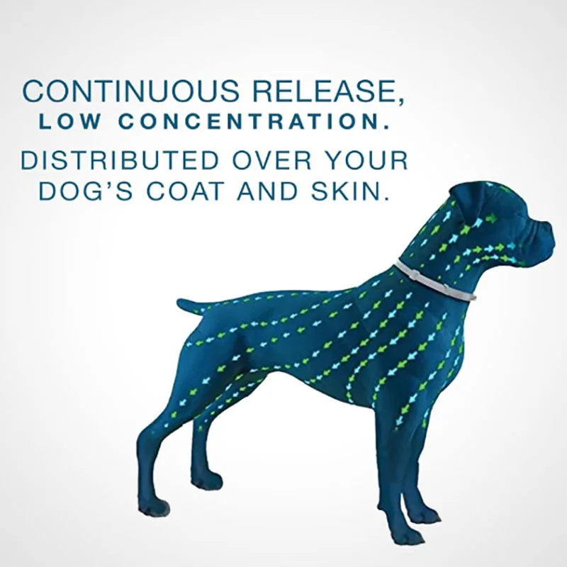 Amazon Hot Sales 100% Natural Flea and Tick Collar for Dogs 8 Month Protection Pet Anti Flea Collar