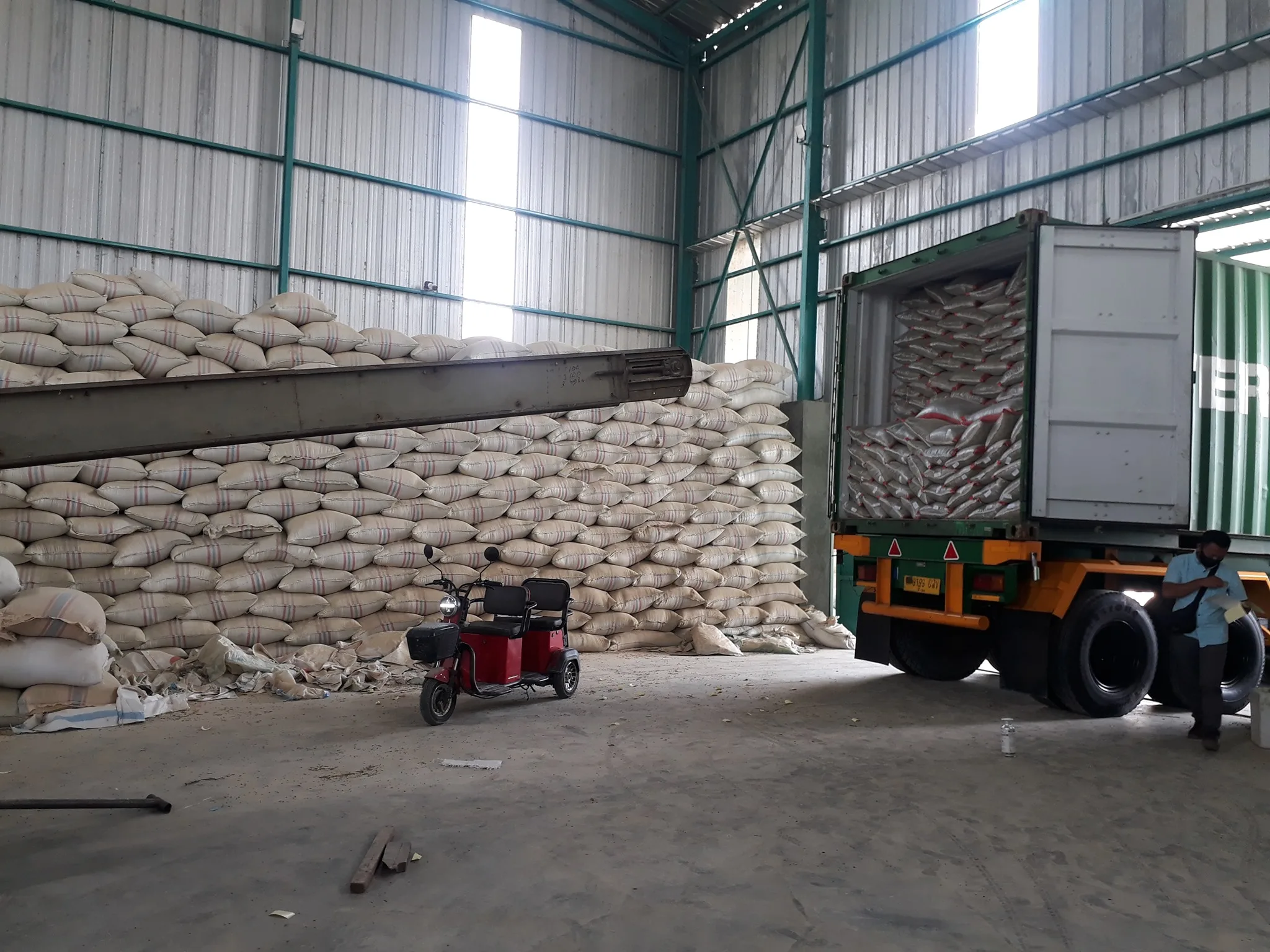 New Crop Wholesale of Sunflower  in Factory Price