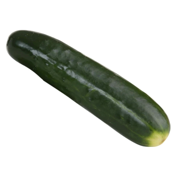 Fresh Cucumber/ Fresh vegetable cucumber organic wholesale high quality healthy fresh cucumber