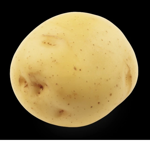 
High Quality Bulk Fresh Potato With Low Price 
