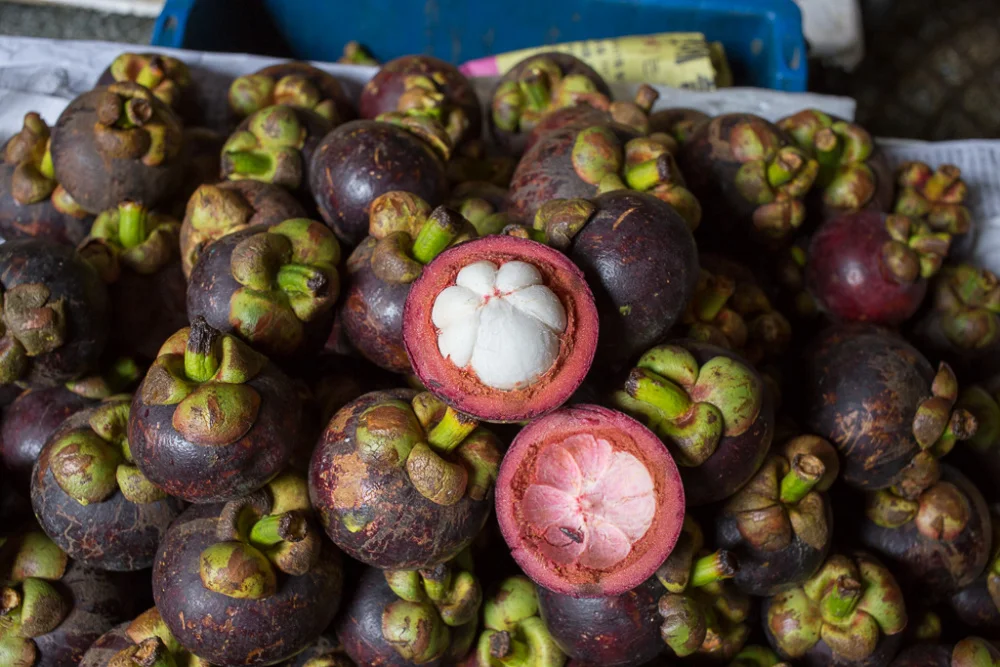 Fresh Mangosteen with thick juicy pulp from Vietnam - Ms KiO HYUNH + 84 34 375 8904