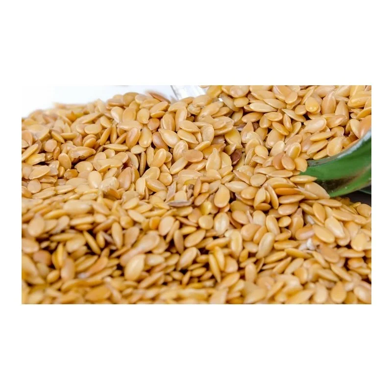 
Wholesale Non GMO Organic Gold Flaxseed 