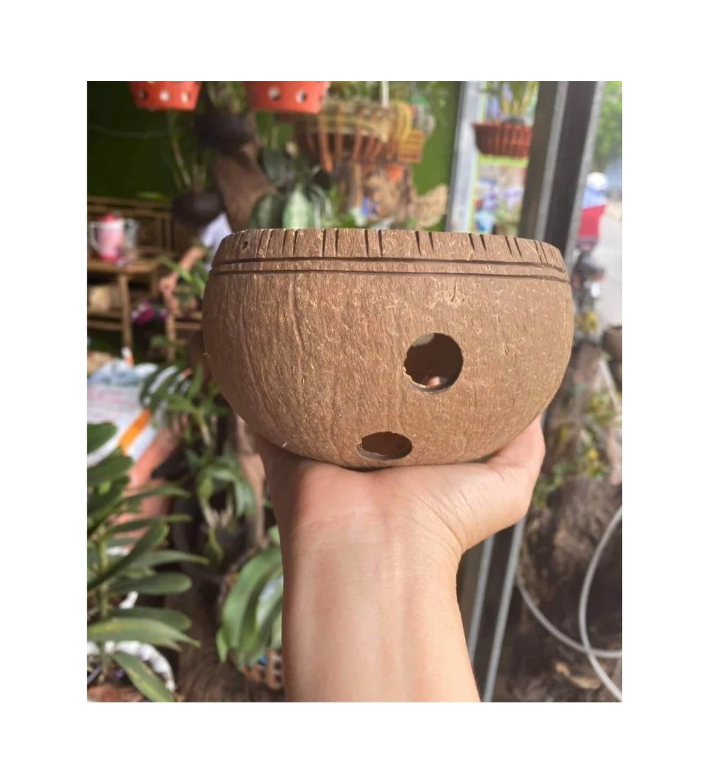 Vietnam Coconut shell flower pot High Quality Coconut Shell Natural Flower Plan Garden Pots 99 Gold Data