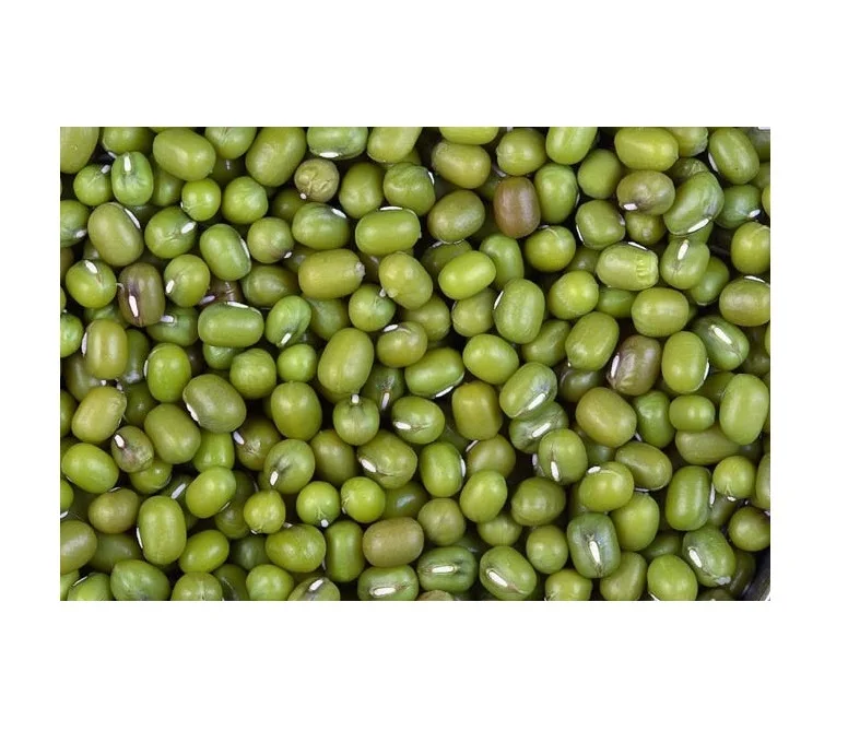 Good quality natural vigna green mung beans