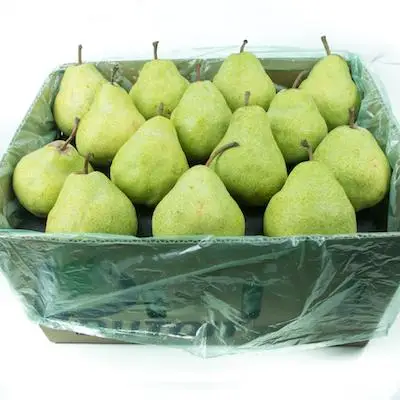 
New Season Packham Pears 