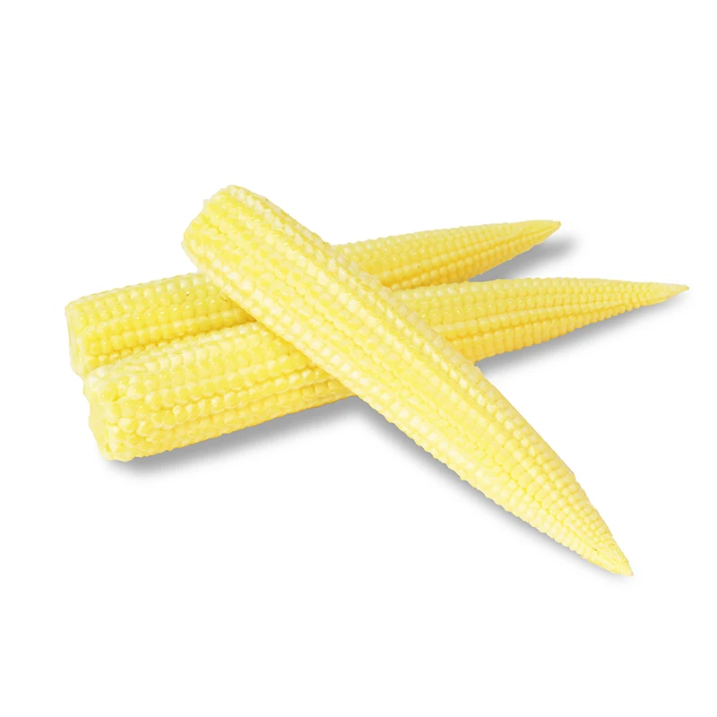 
Fresh Baby Corn/ Frozen IQF delicious Baby Corn best seller 