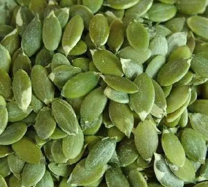 
Highly Recommended Pumpkin Seeds Green Squash Seeds with Premium Quality 