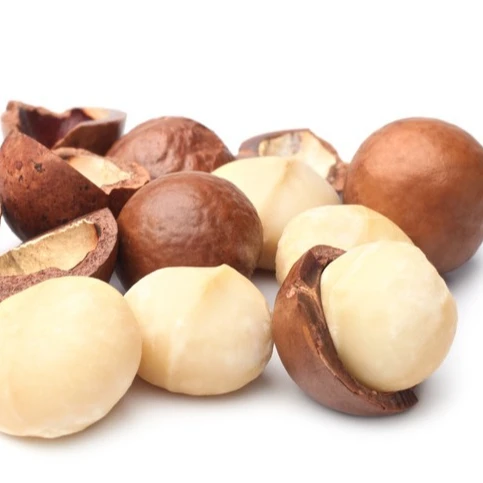 Whole Raw Macadamia with shell uncracked