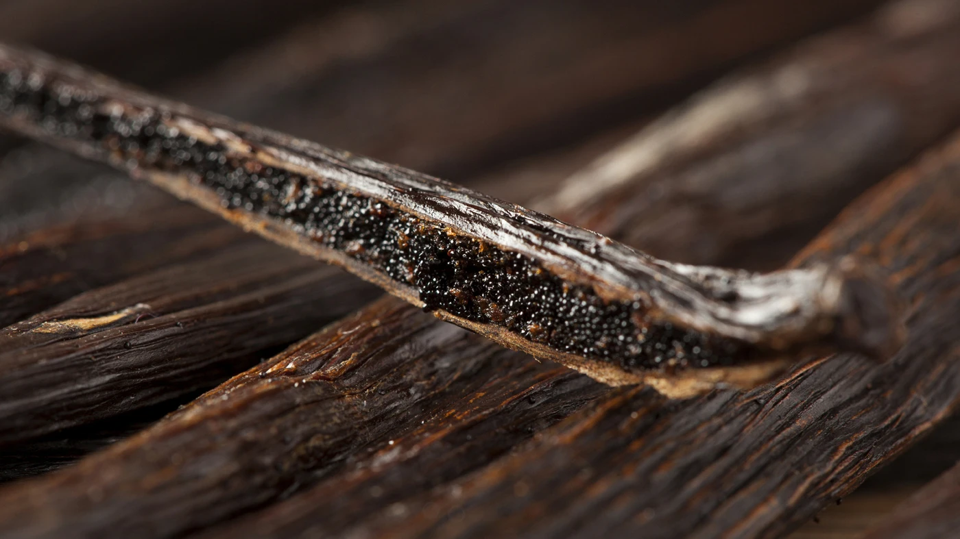 Wholesale Best Quality Vanilla Beans For Sale In Cheap Price