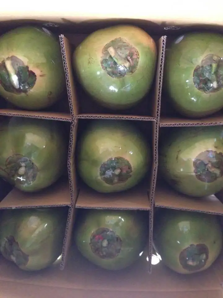 Fresh Young Coconut from Vietnam +84826064364 WS