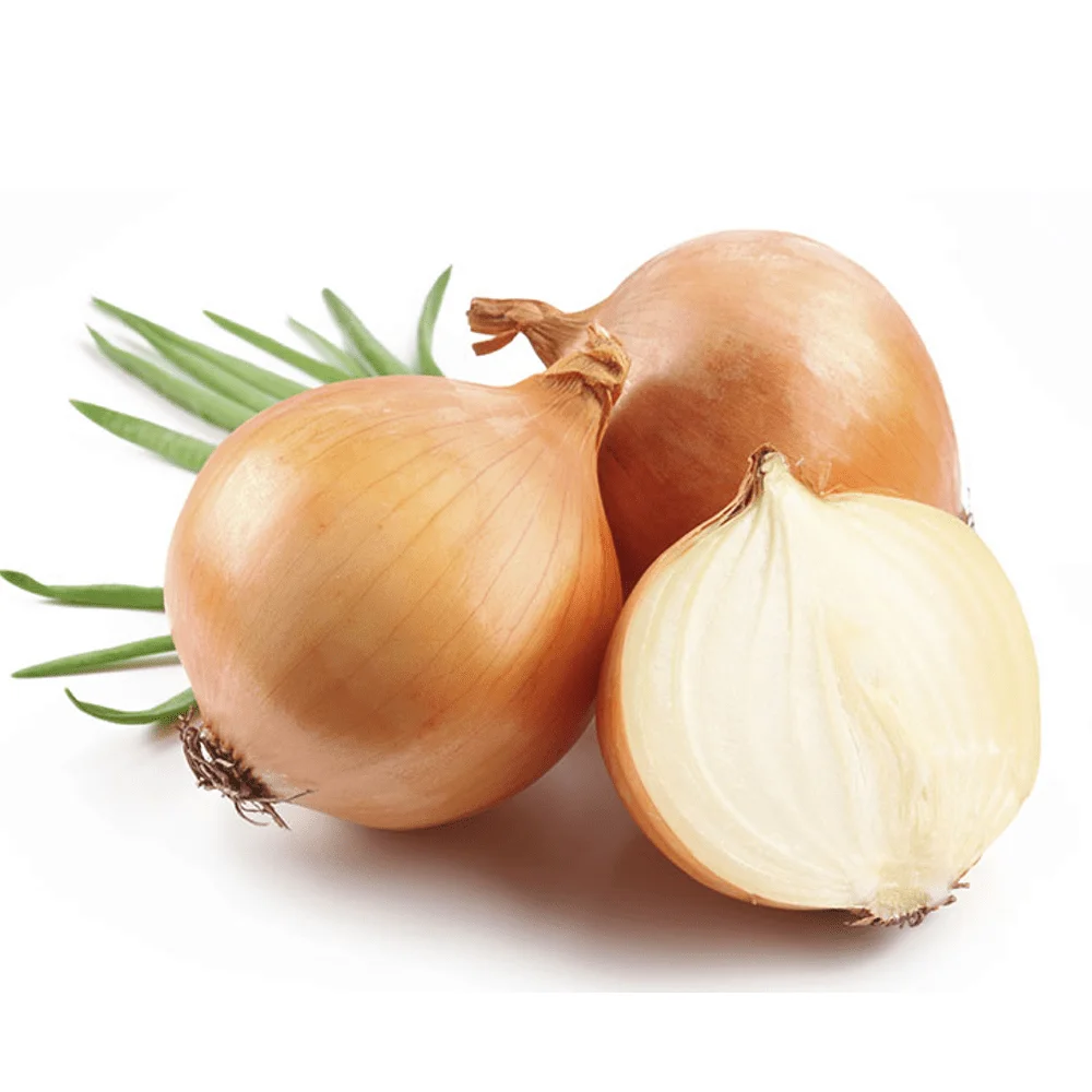 Market Price For Red Fresh Onion For Ton