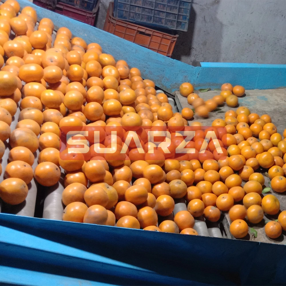 Пакистанский продукт пакистанский свежий мандарин