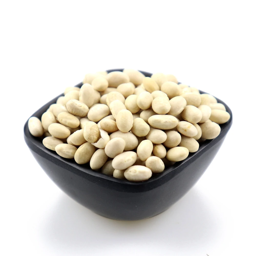 
Bulk White Lima Beans Supplier 