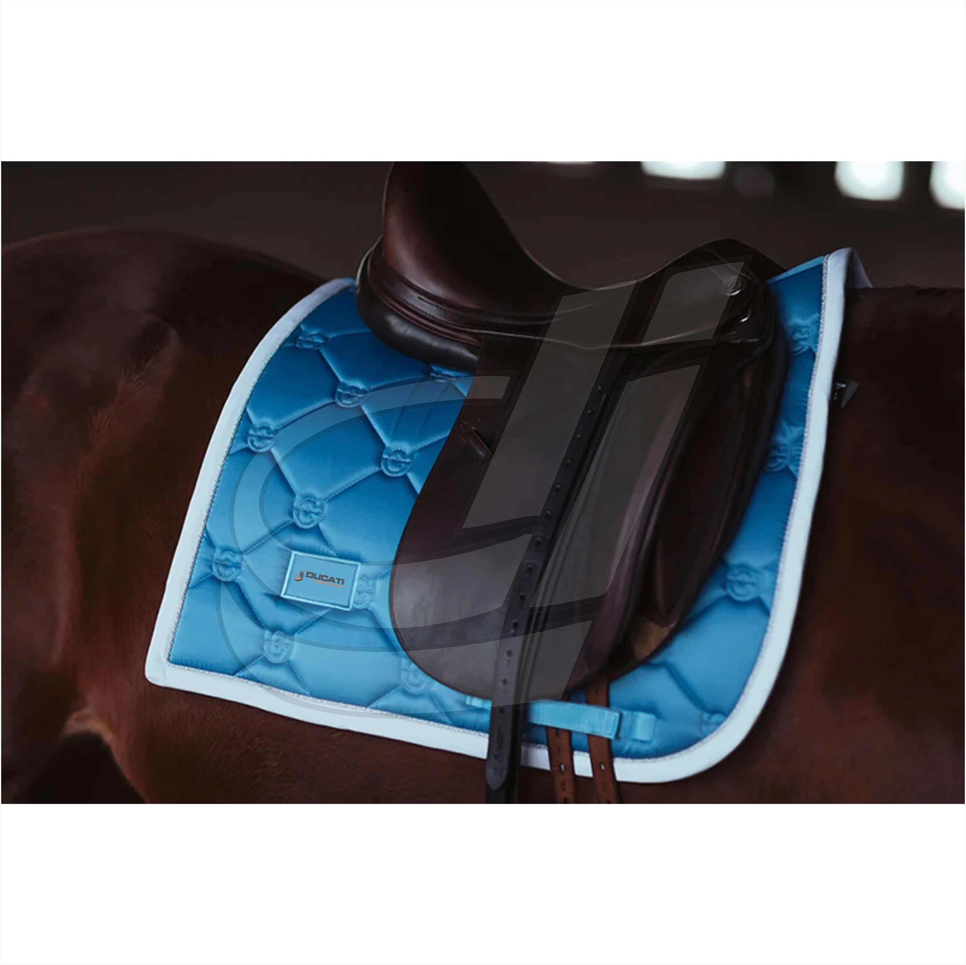 Horse Riding Equipment Equine Equestrian Products