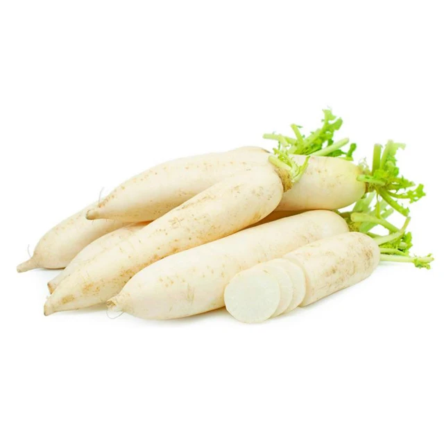 Fresh Super Delicious Taste Premium Quality White Radish - Whole Fruit Export