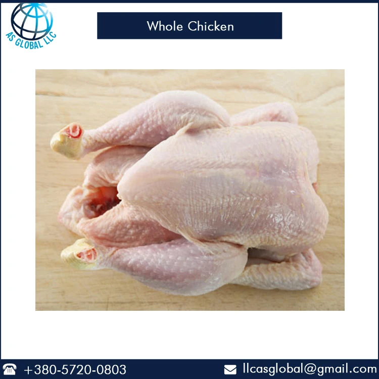 Premium Grade Halal Whole Chicken at Best Price