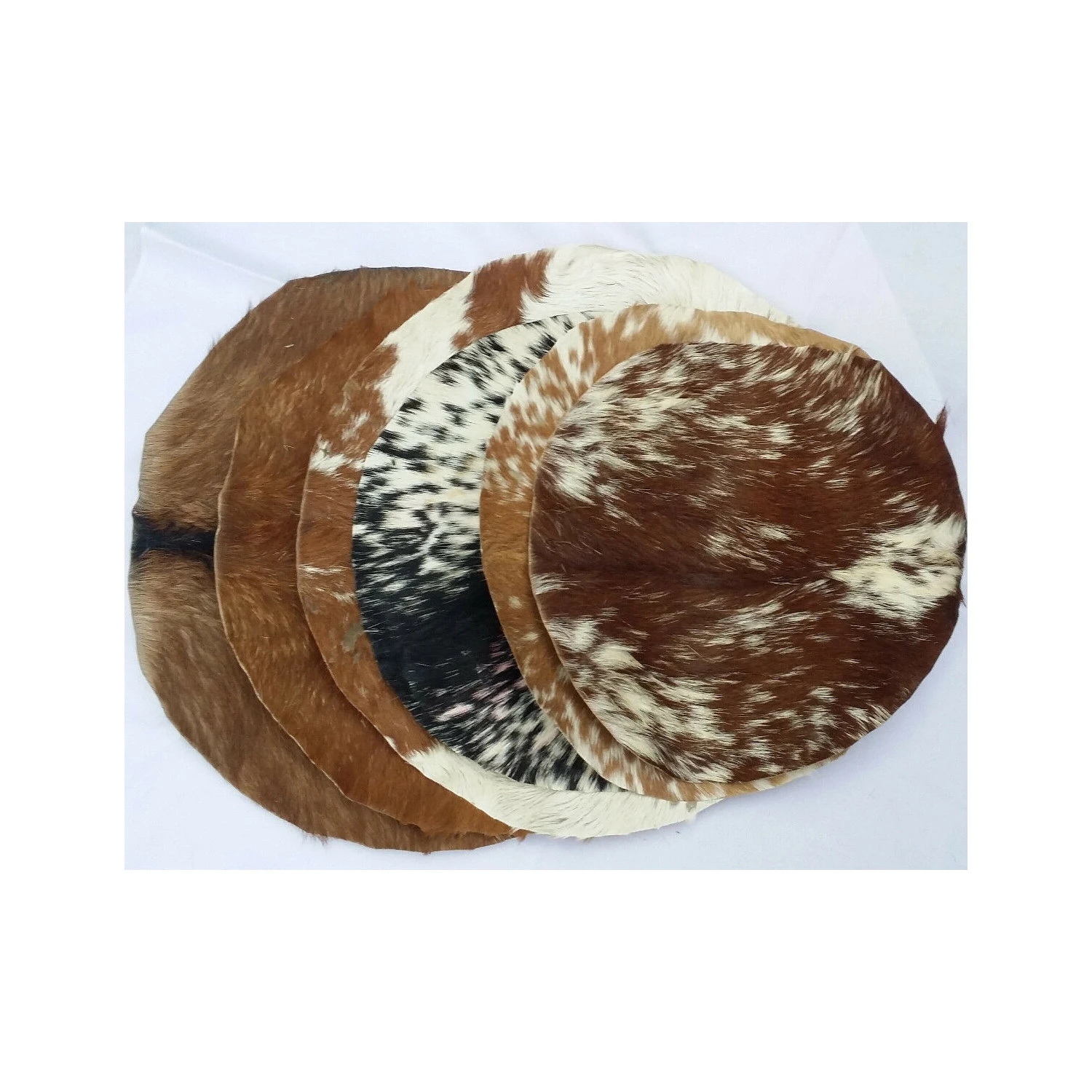 Doumbek Natural Flat Round Piece GOAT SKIN Head untanned (14 inches) Goat Skin Djembe Head Goatskin for Drum