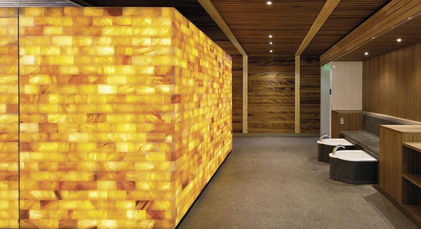 Cheap Price Best Quality Natural Pink Himalaya Salts Tiles Bricks Himalayan Pink Salts Tiles Bricks In Wholesale Price