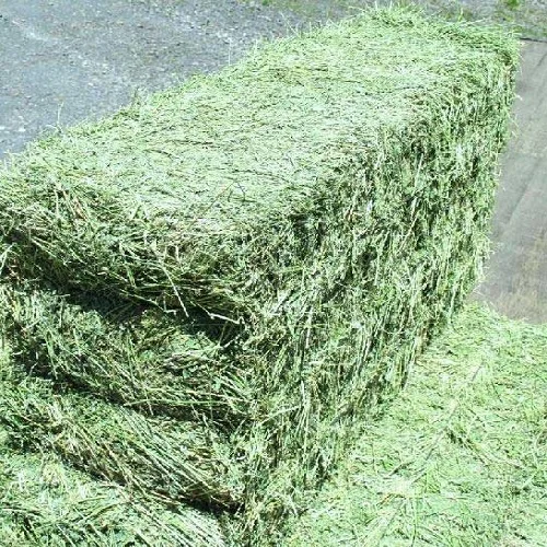 Top Quality Alfafa Hay for Animal Feeding Stuff Alfalfa