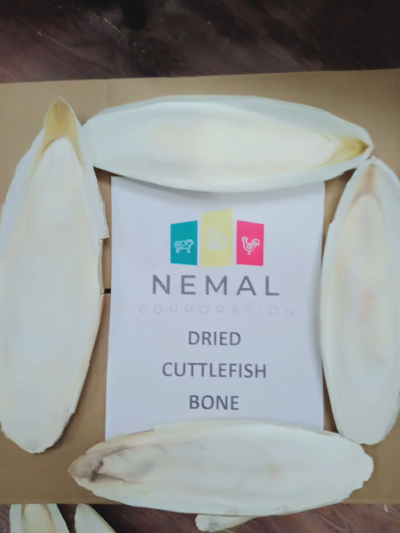 
DRIED & FREEZE CUTTLEFISH BONE 