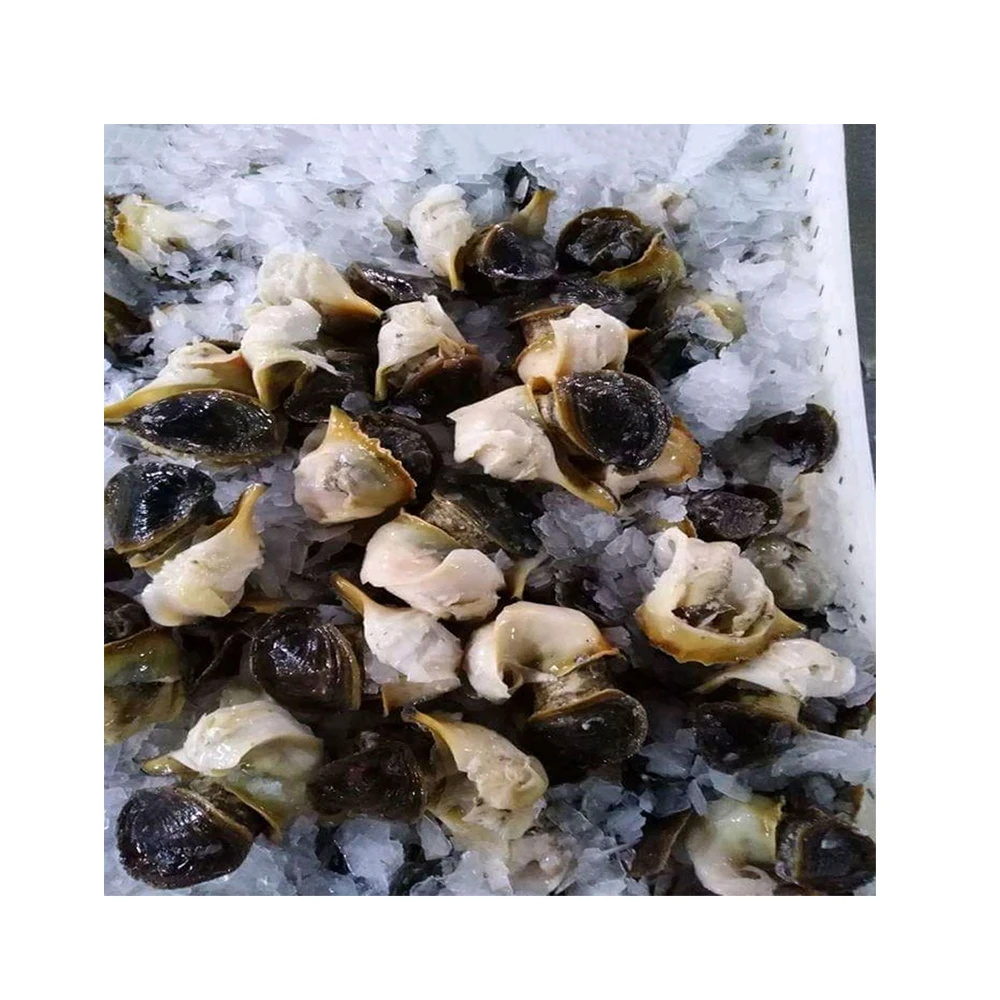 Сушеная морская смесь замороженная консервированные высококачественные морепродукты закуски