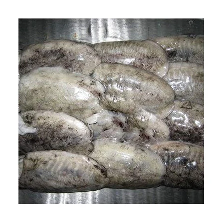 Морская рыба/замороженная морская рыба