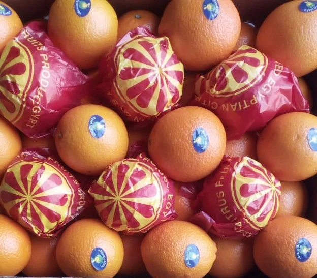 Fresh Egyptian orange for import season 2022- 2023
