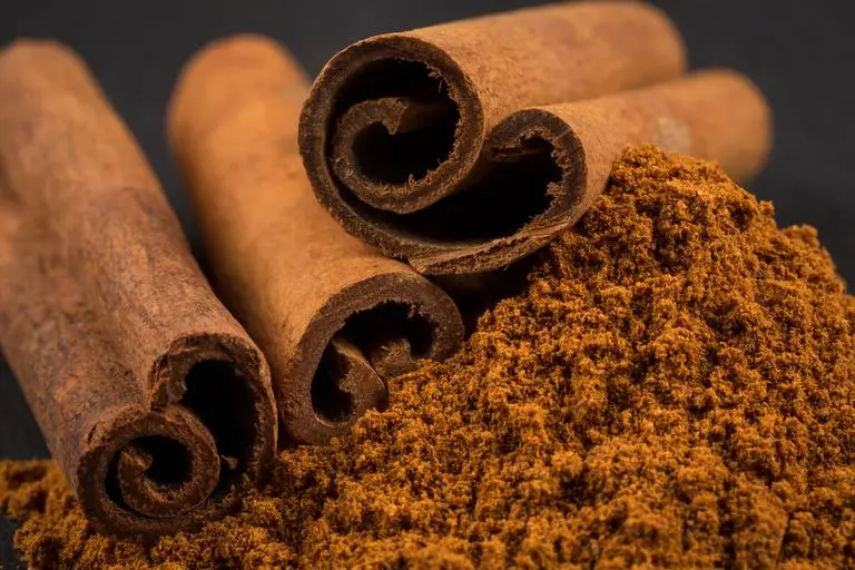 Organic Ceylon Cinnamon / True Cinnamon