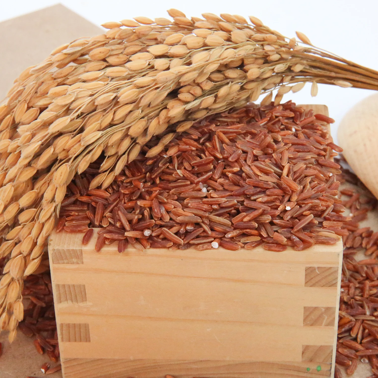 Вьетнамский высококачественный рис с длинным зерном свежий текущий год ароматический цельнозернистый красный