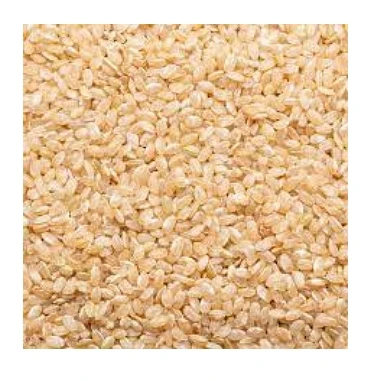 Оптовая продажа вьетнамский производитель коричневый рис с коротким зерном для макробиотической диеты питание японского коричневого риса