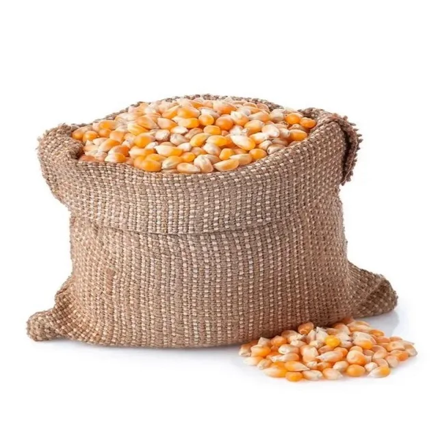 Animal Feed Yellow Corn Grade 1 and 2