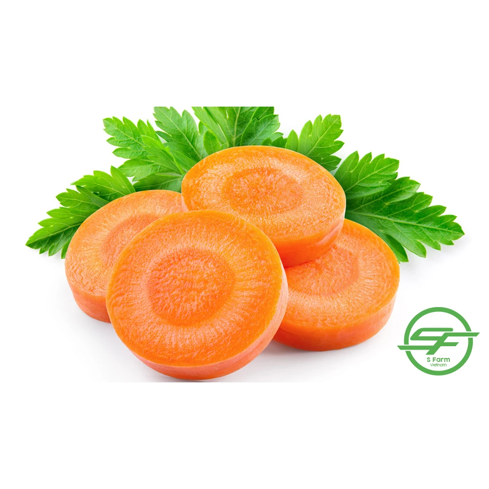New crop fresh organic vegetables wholesale fresh carrots bulk export price