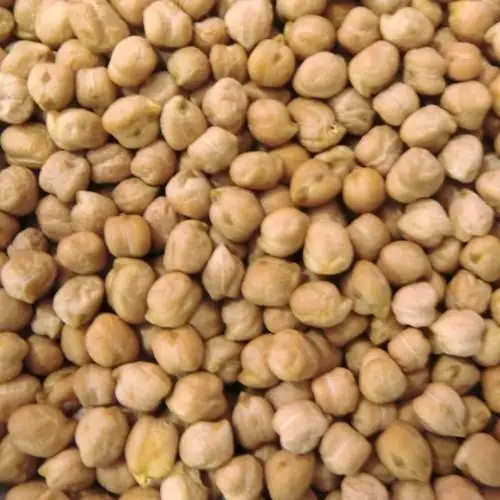 
Natural Pure Kabuli Chickpeas Crop 
