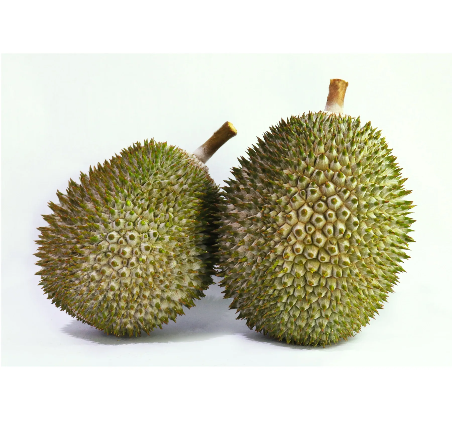 Premium Standard Frozen Durian with Shell D168 IOI AA Malaysia Top Durian Fruit Supplier