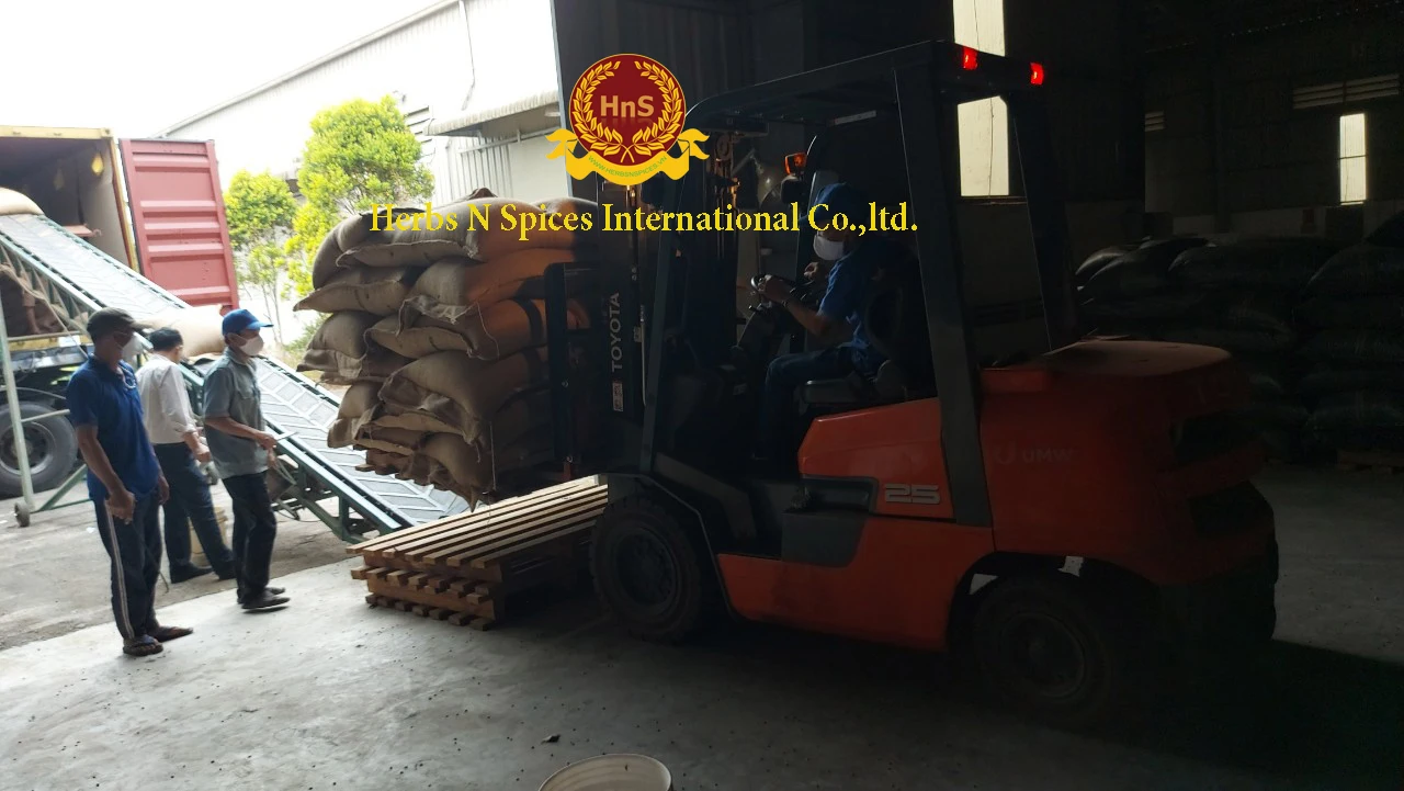 Washed Arabica green coffee beans S16/18