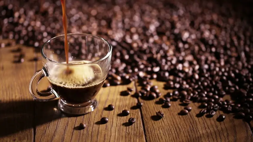 Superior Quality Roasted Robusa Coffee with very Competitive Price from Vietnam