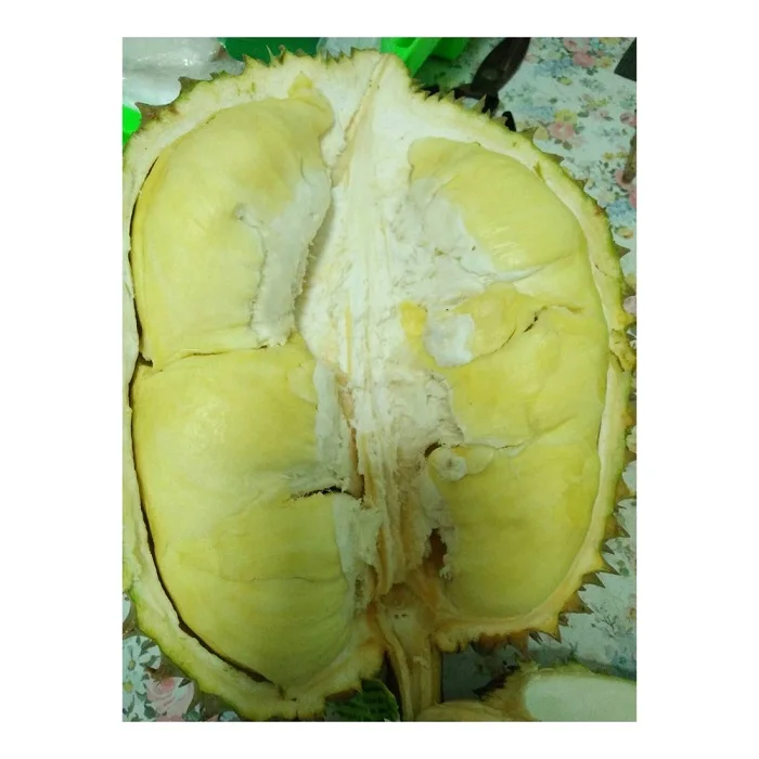 Fresh Musang King