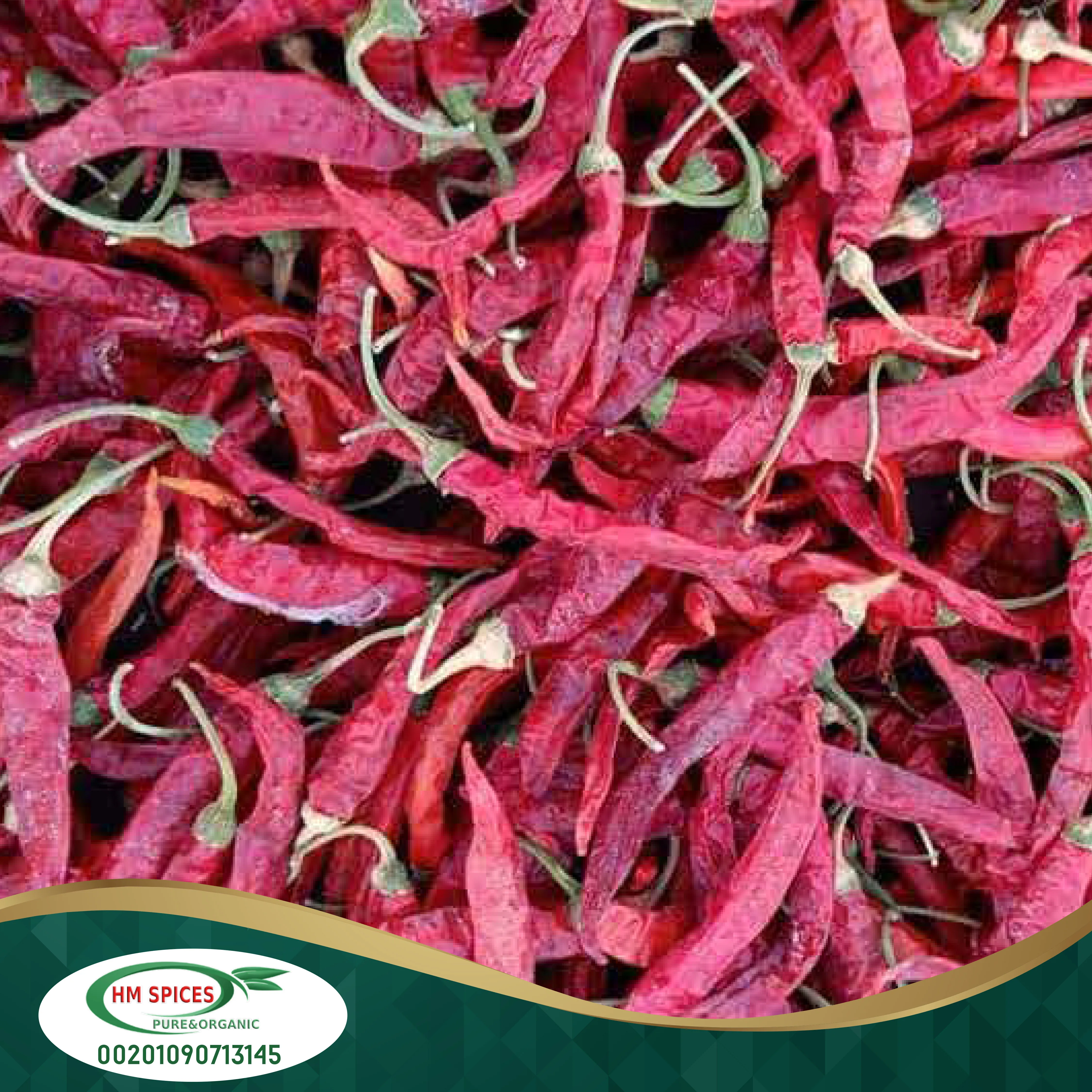 Egyptian chili pepper high quality first degree very hot chili pepper dried