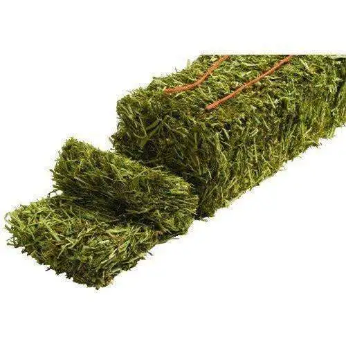 Best Alfalfa Hay Special Prices and Shipping for Gulf Region and Arab Countries