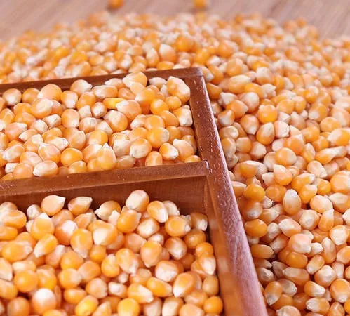  Лидер продаж желтый Кукуруза/кукуруза без