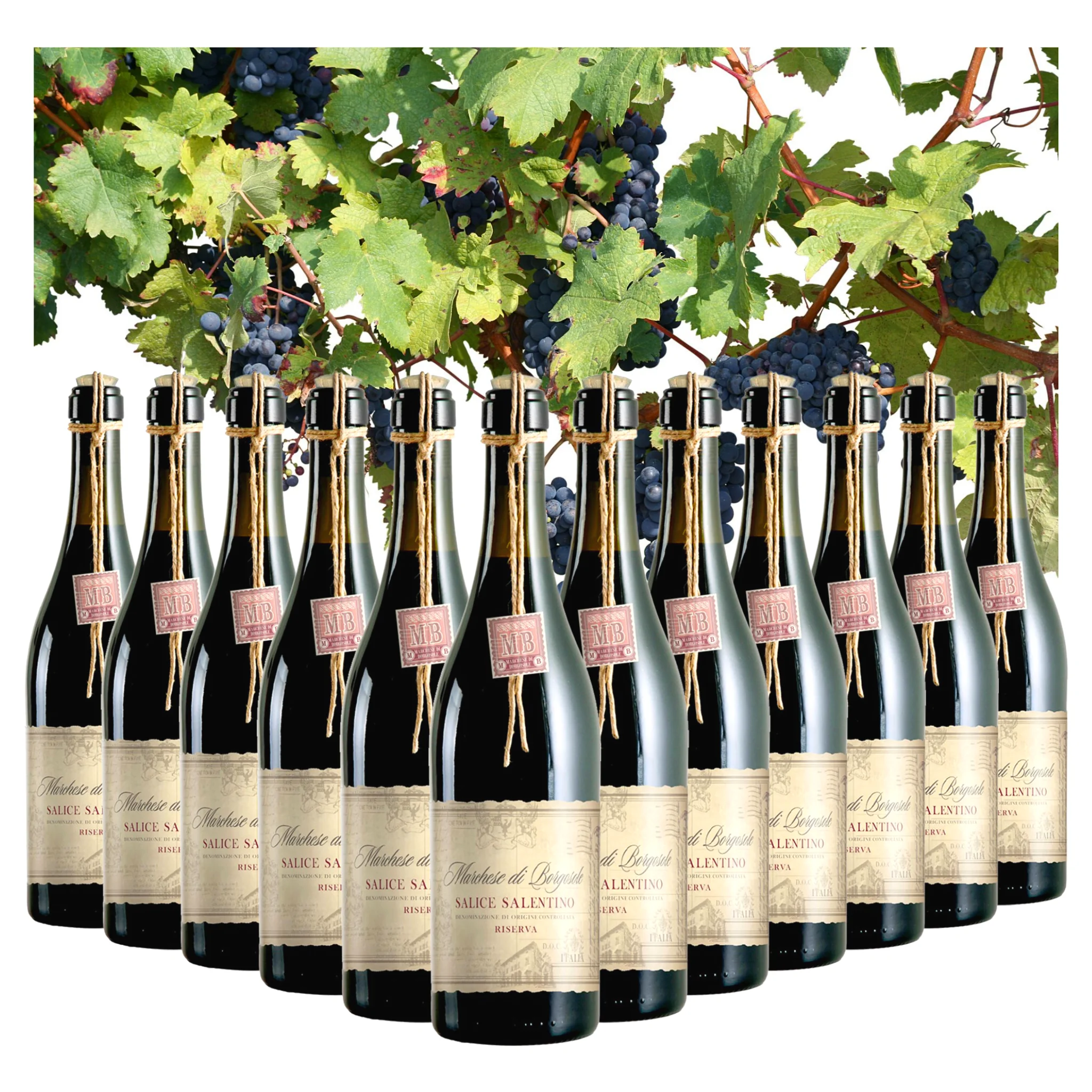 Dropship Italian Red Wine - Salice Salentino DOC Reserve Marchese di Borgosole - Wine bottles 750 ml - Alcohol wine13% for sale