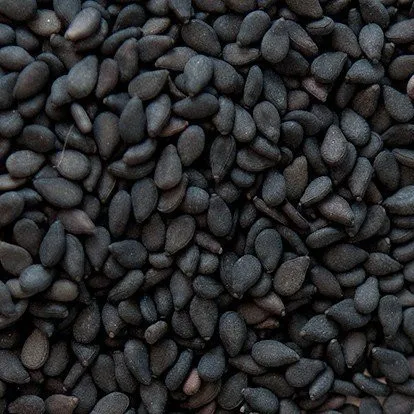 High nutrition sesame seeds powder hull white sesame seed price