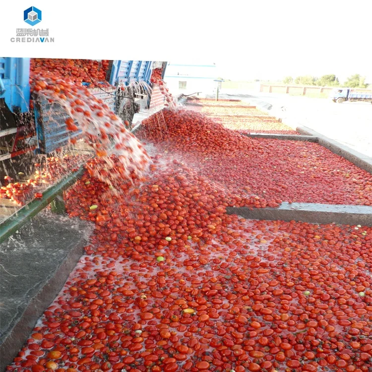 
Tomato paste/sauce production line/tomato ketchup processing line 