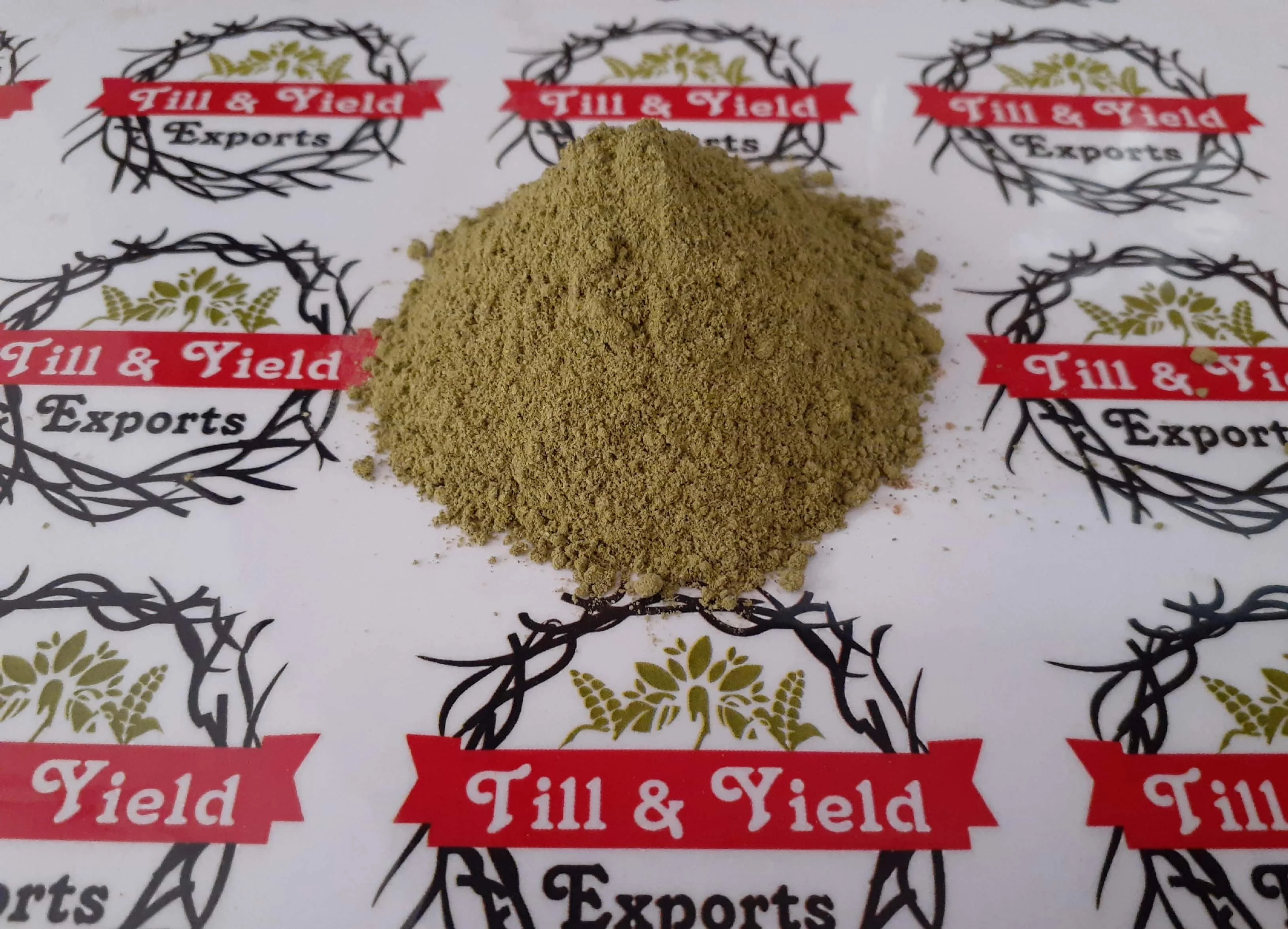 Cucumber Powder - Cucumis Sativum Powder Significant Increase In Several Markers Of Antioxidant