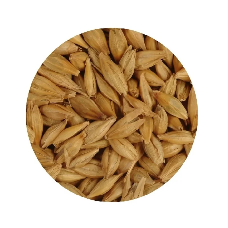 Зерна ячменя семена премиум класса корм для животных ячмень зерна оптом зерно ячменного солода